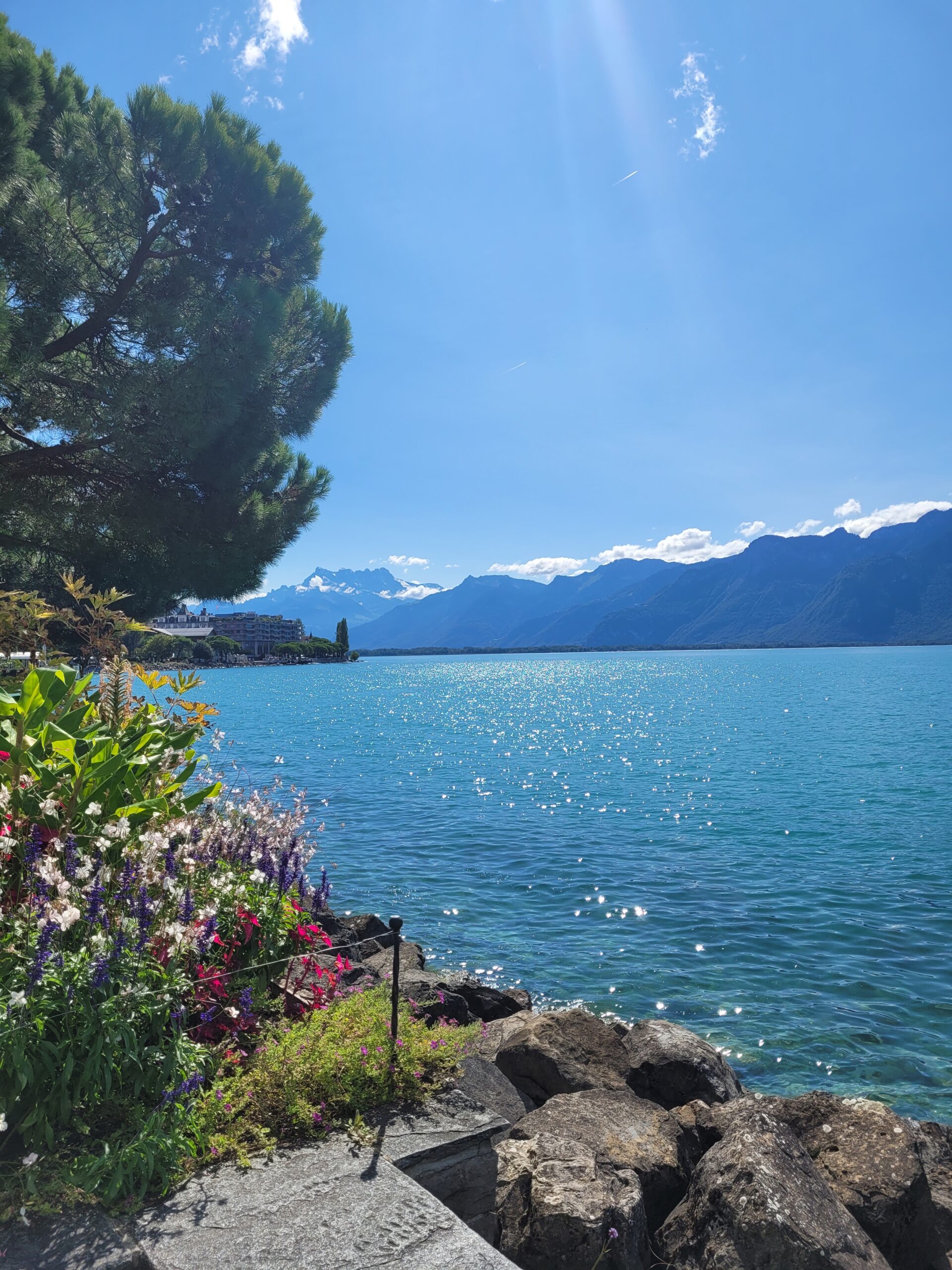 Lire la suite à propos de l’article Escapade au Lac Leman